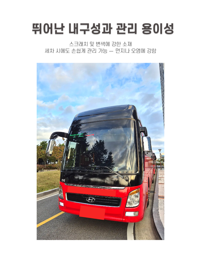 넥시스 크롬 백미러 커버 - Detail 6