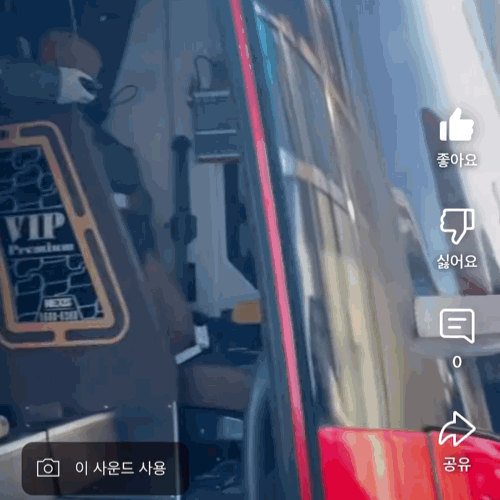 스톤칩커버
